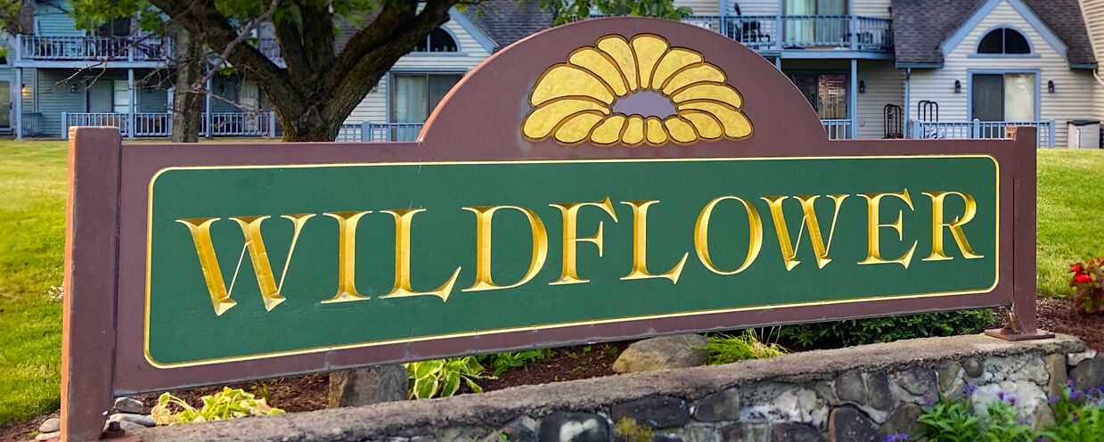 Wildflower Association of Ellicottville